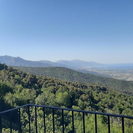 Gite La Fontaine Corse Loreto-di-Casinca Szoba fotó