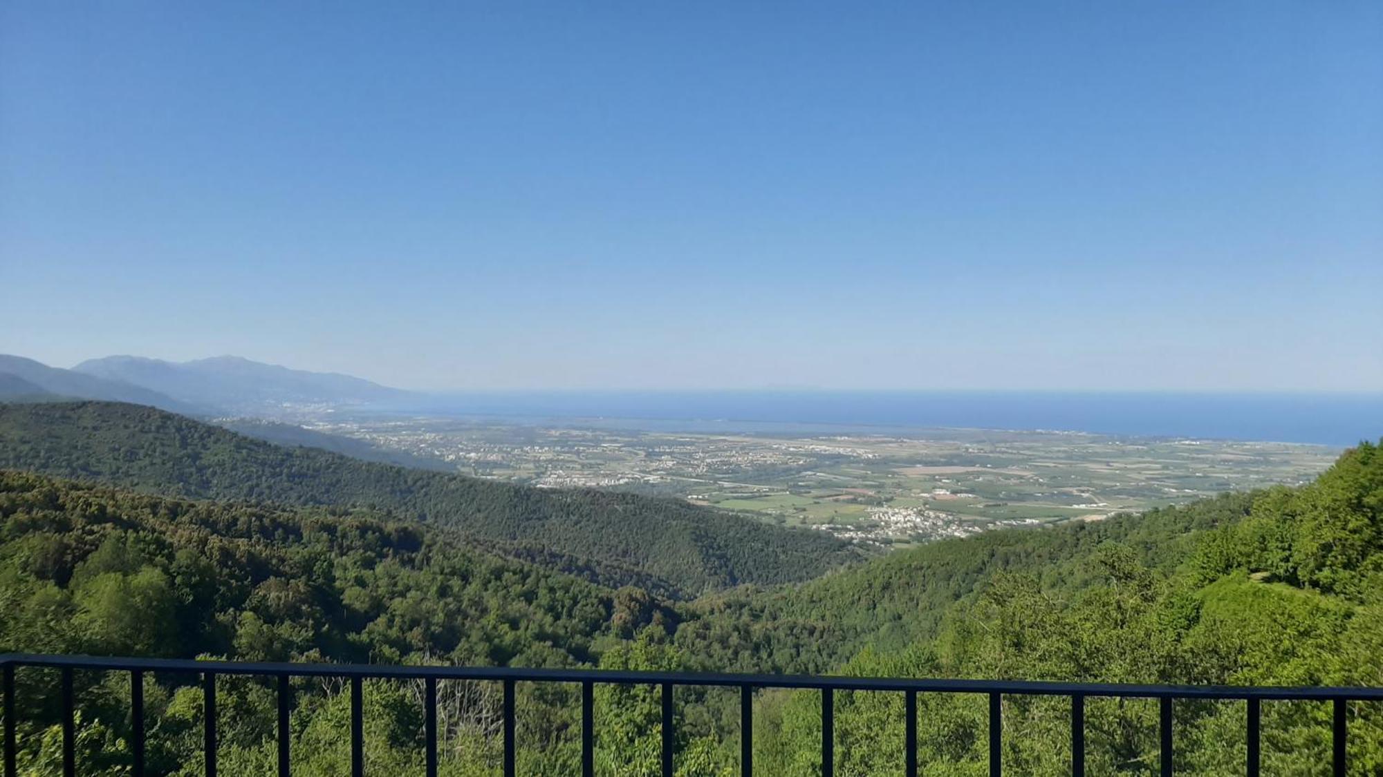 Gite La Fontaine Corse Loreto-di-Casinca Szoba fotó