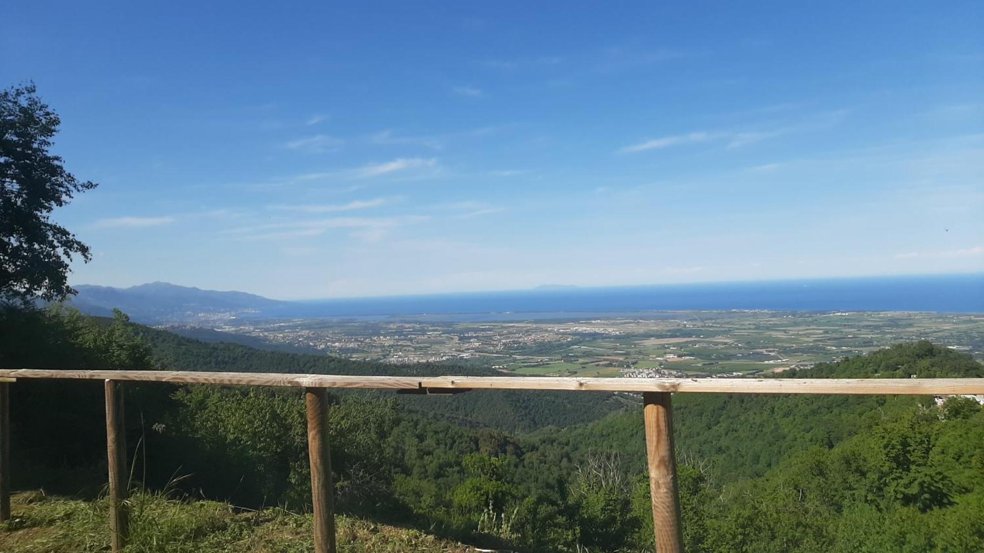 Gite La Fontaine Corse Loreto-di-Casinca Szoba fotó