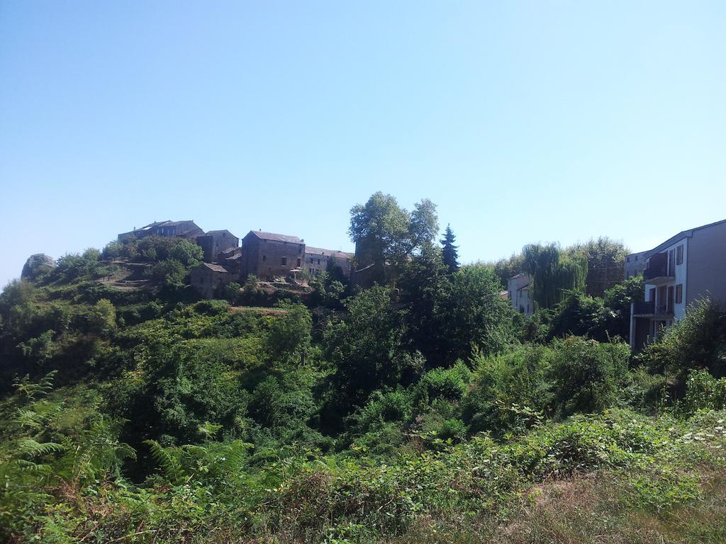 Gite La Fontaine Corse Loreto-di-Casinca Szoba fotó