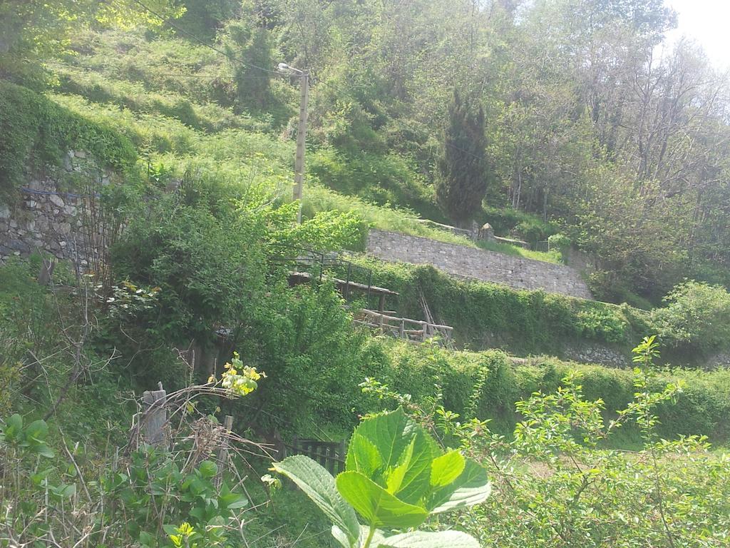 Gite La Fontaine Corse Loreto-di-Casinca Szoba fotó