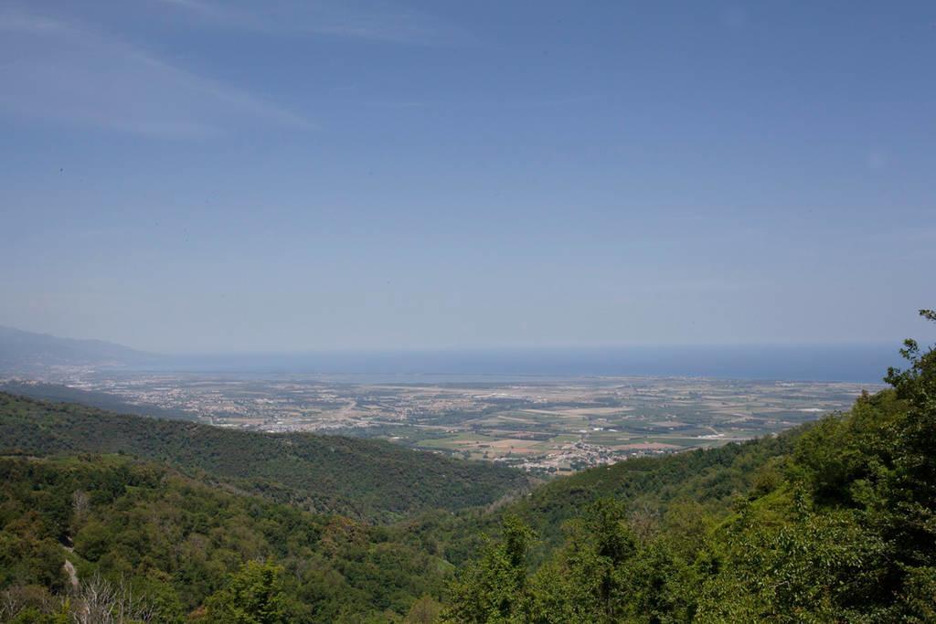 Gite La Fontaine Corse Loreto-di-Casinca Szoba fotó