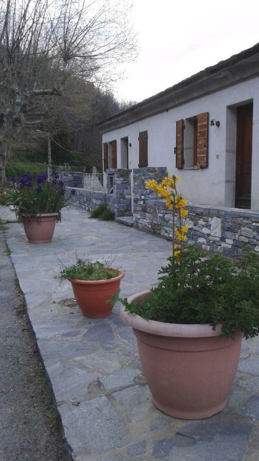 Gite La Fontaine Corse Loreto-di-Casinca Kültér fotó