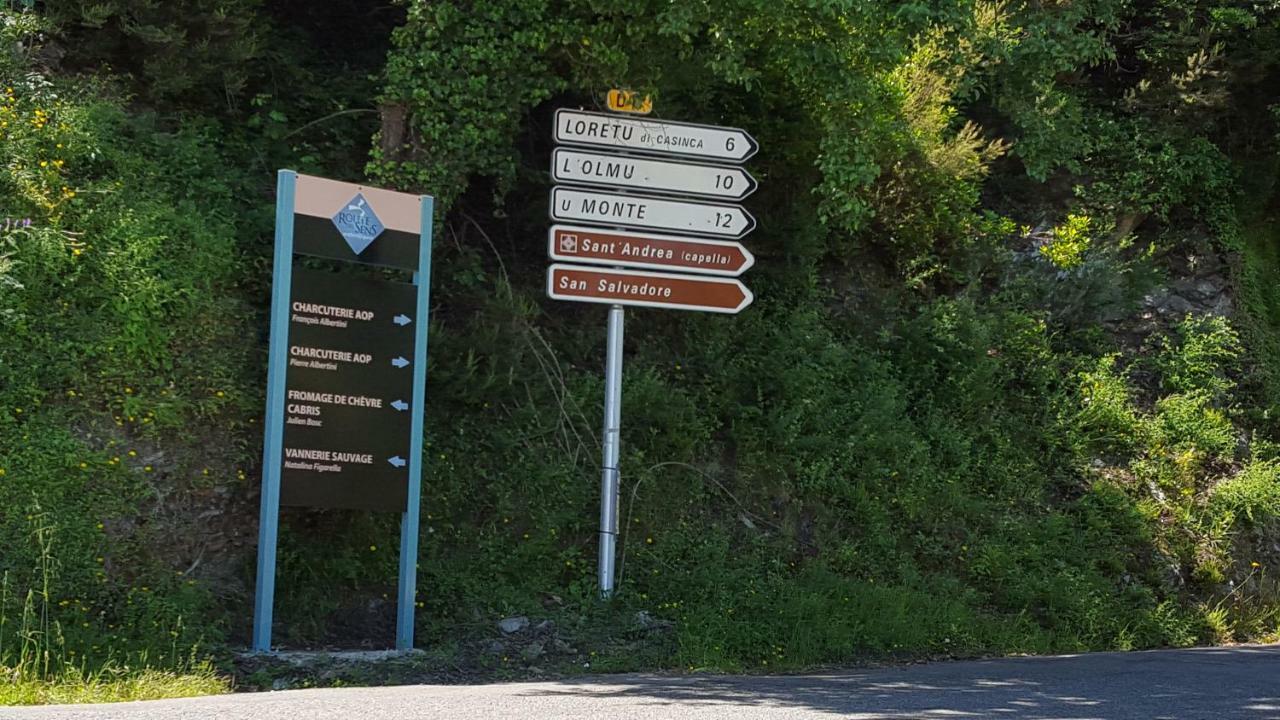 Gite La Fontaine Corse Loreto-di-Casinca Kültér fotó