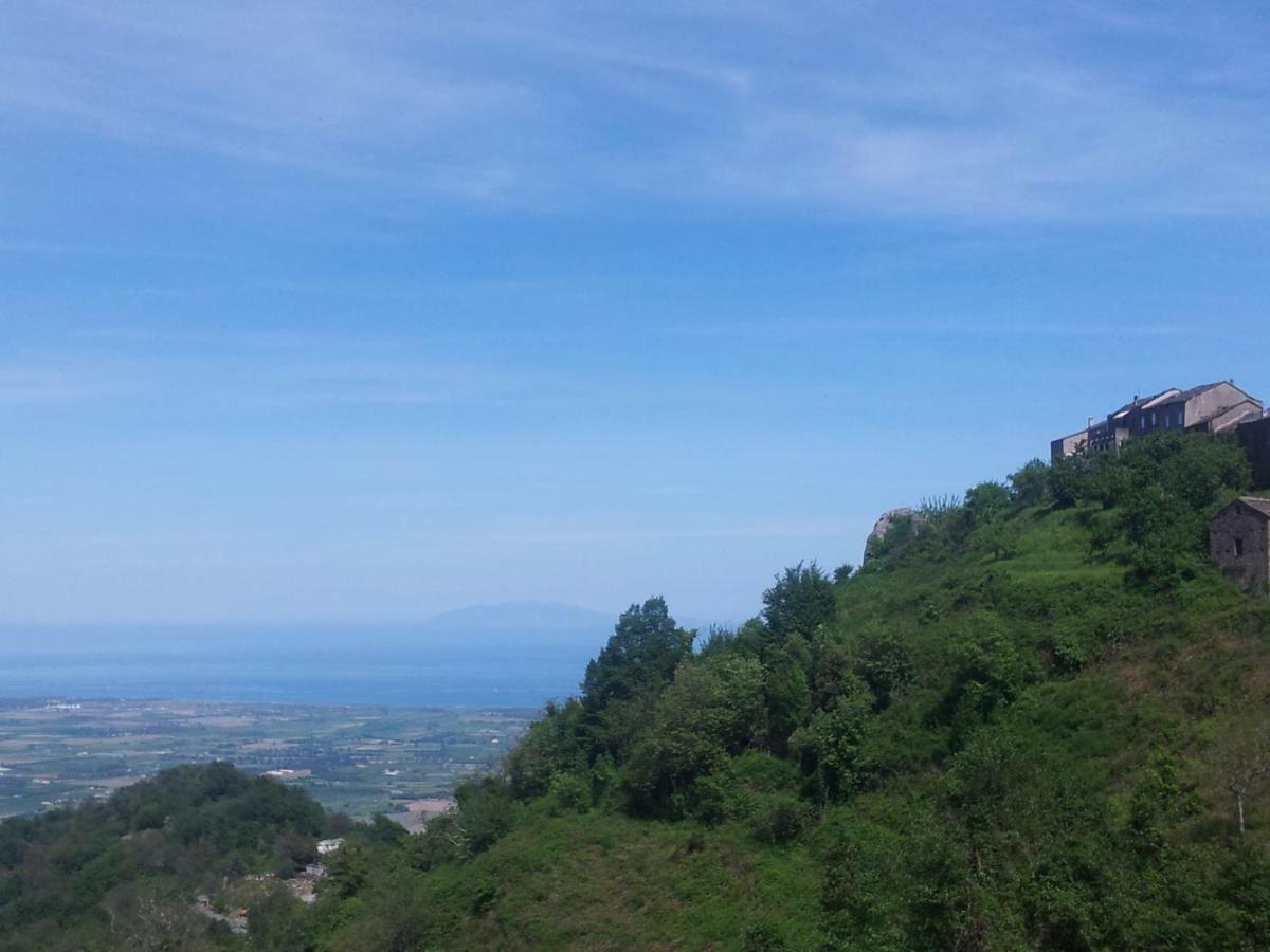 Gite La Fontaine Corse Loreto-di-Casinca Kültér fotó